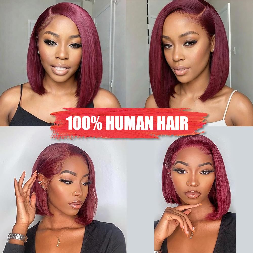 Chic Burgundy Bob Wig